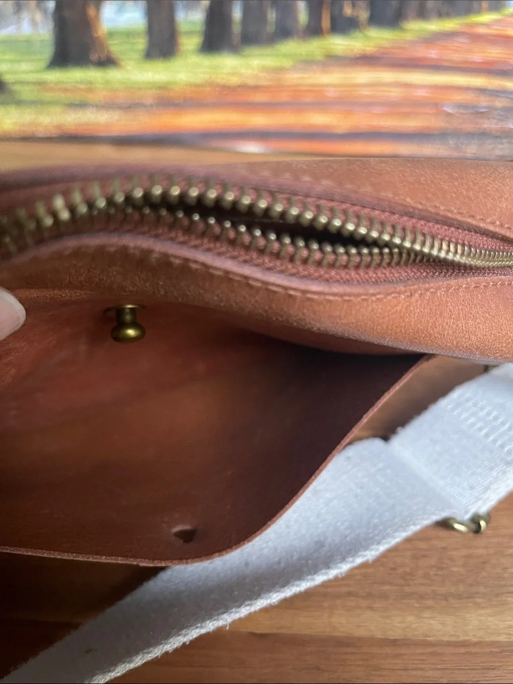 Madewell cow Leather Messenger Bag with canvas Adjustable Strap